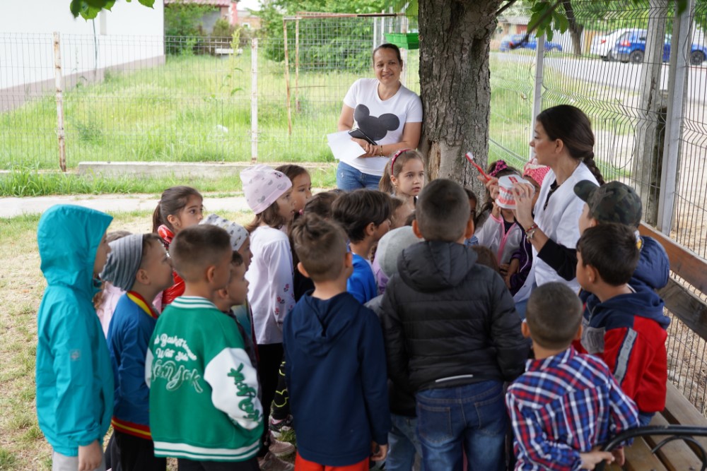 ACEDO&Zana Merciluta