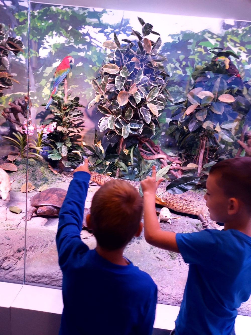 301128539 1137700323832087 6731207419740322116 n