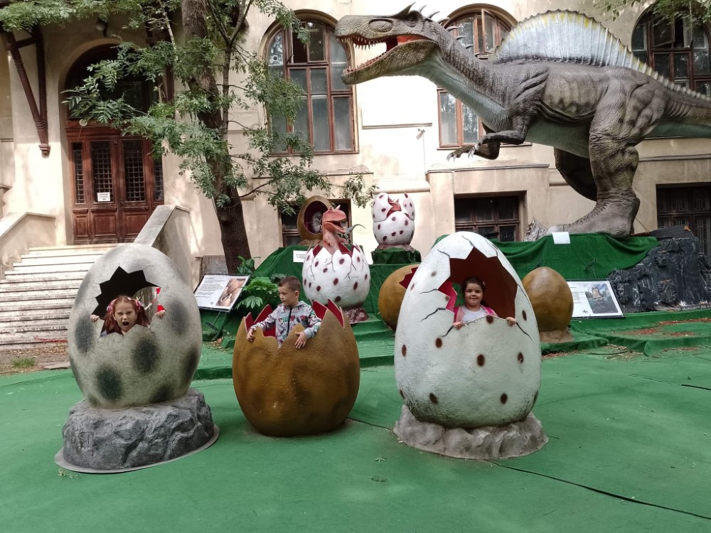 301965644 1137701043832015 8907061202294533945 n