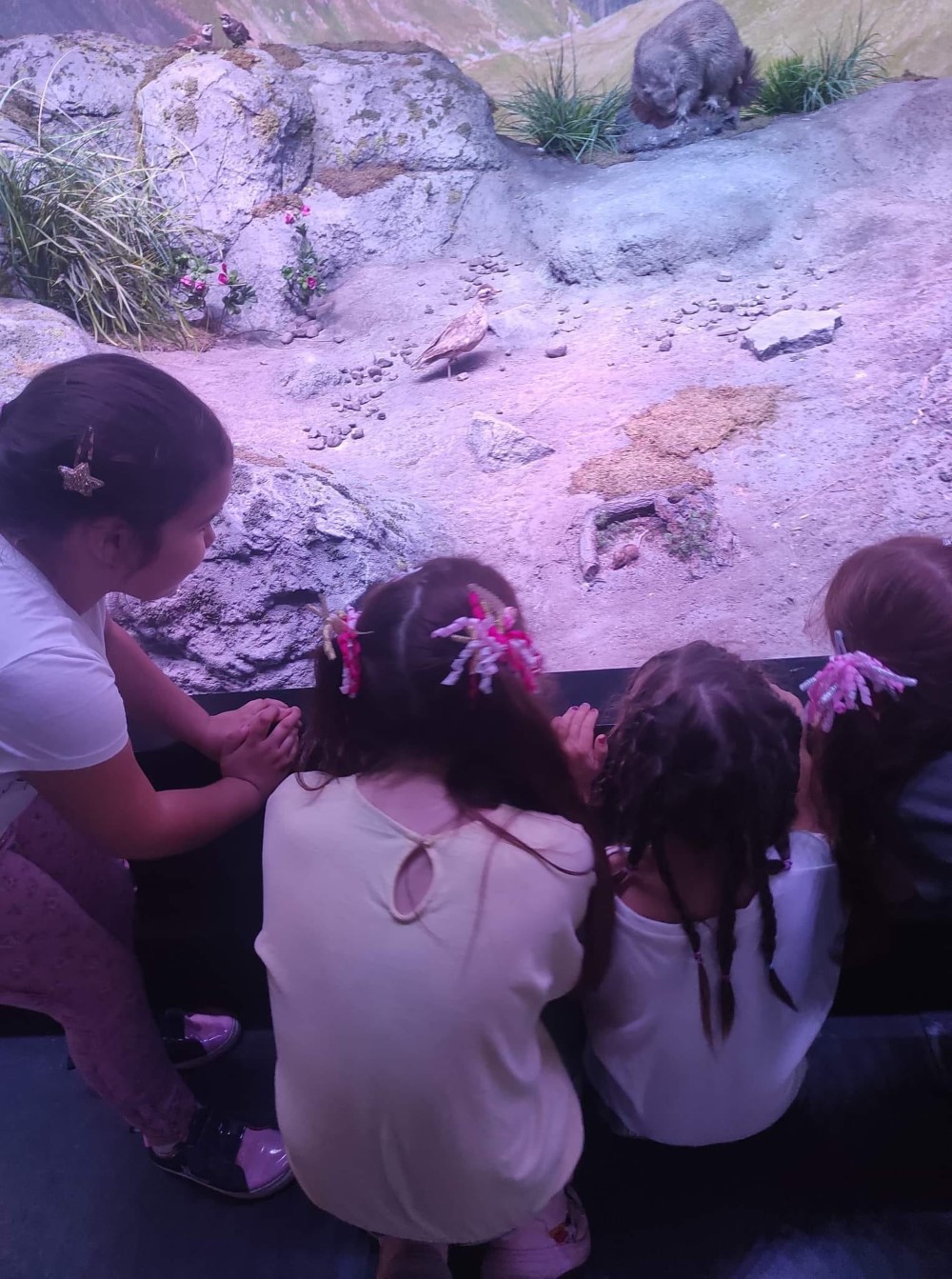 304303499 1137700783832041 2381209959216737782 n