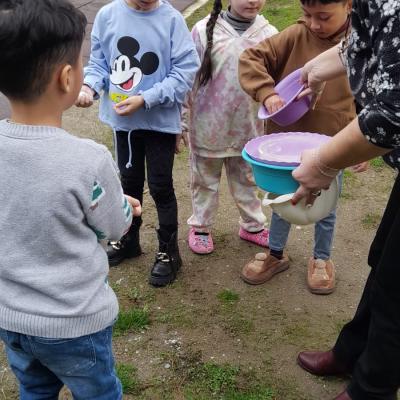 3. Zapada Artificiala